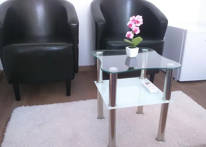 维拉艾玛客房公寓 卢布尔雅那