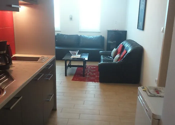 维拉艾玛客房公寓 公寓 卢布尔雅那